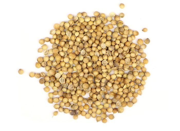 CORIANDER